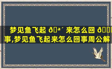 梦见鱼飞起 🪴 来怎么回 🐎 事,梦见鱼飞起来怎么回事周公解梦